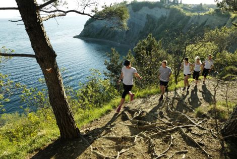 A healthy way of life