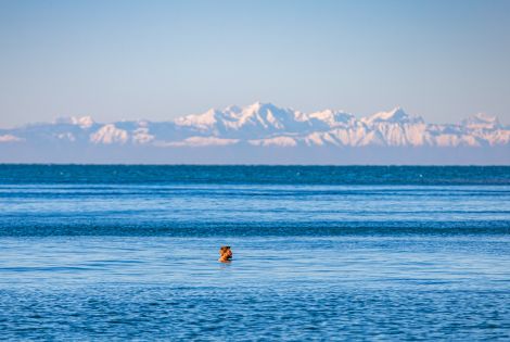 Discover the beneficial effects of seawater in Portorož and Piran