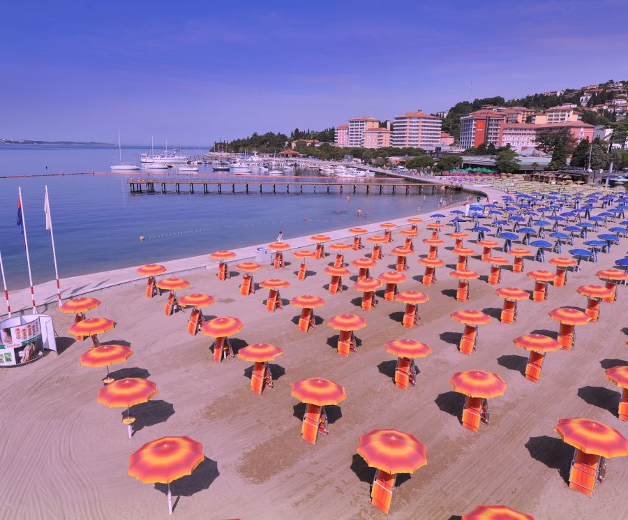 Dive into the lively summer