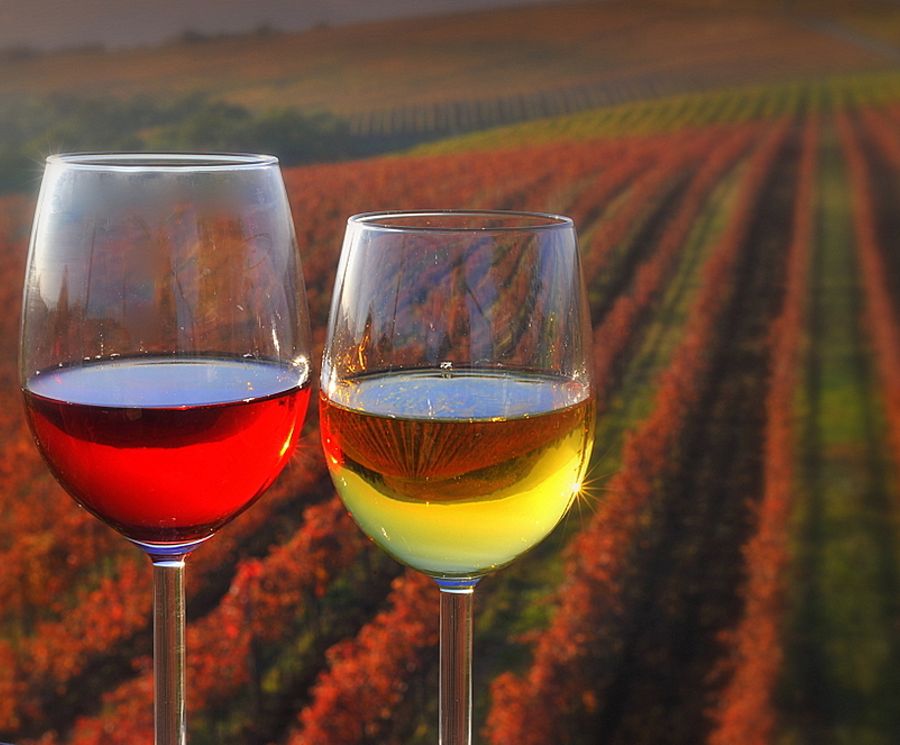 The rich tastes of autumn