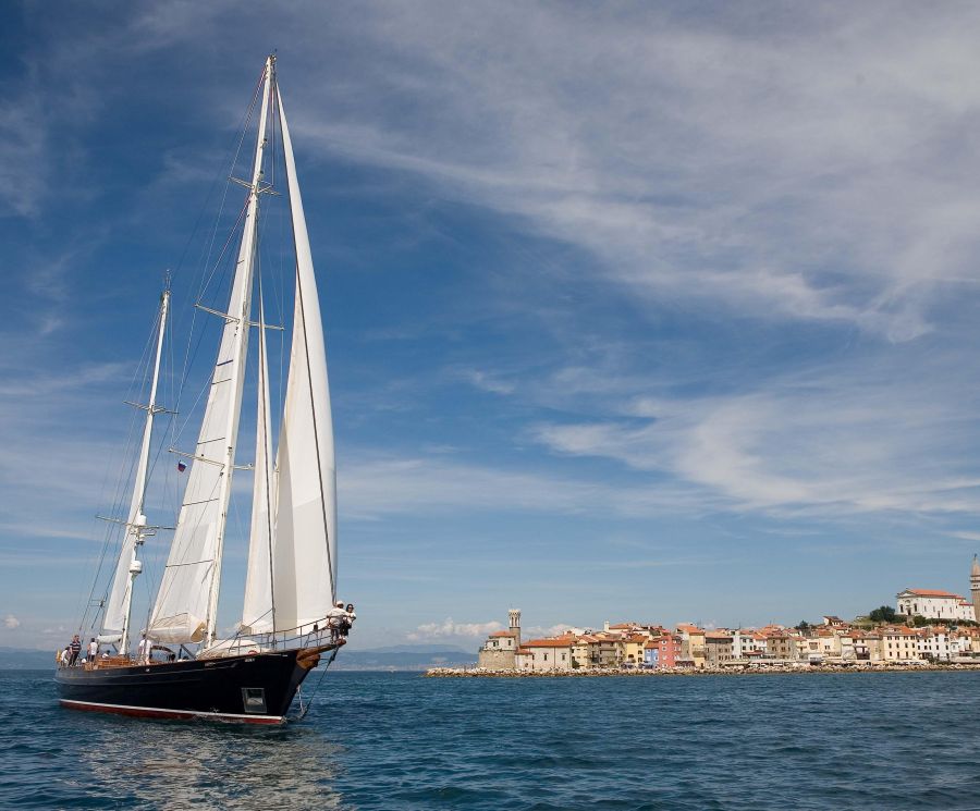 Sail towards new adventures