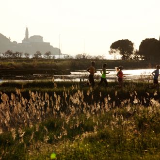 /default/2017/aktivnosti/act-ion/