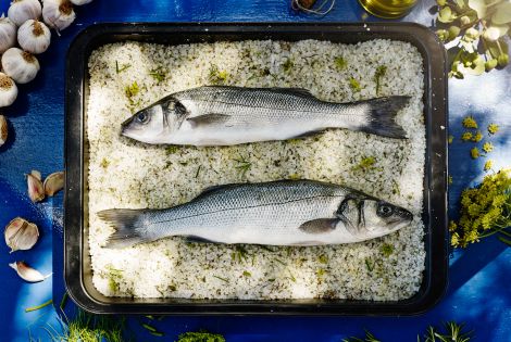 Piranski brancin v soli