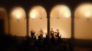 Kaj dogaja v Piranu?