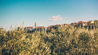 Turistična društva